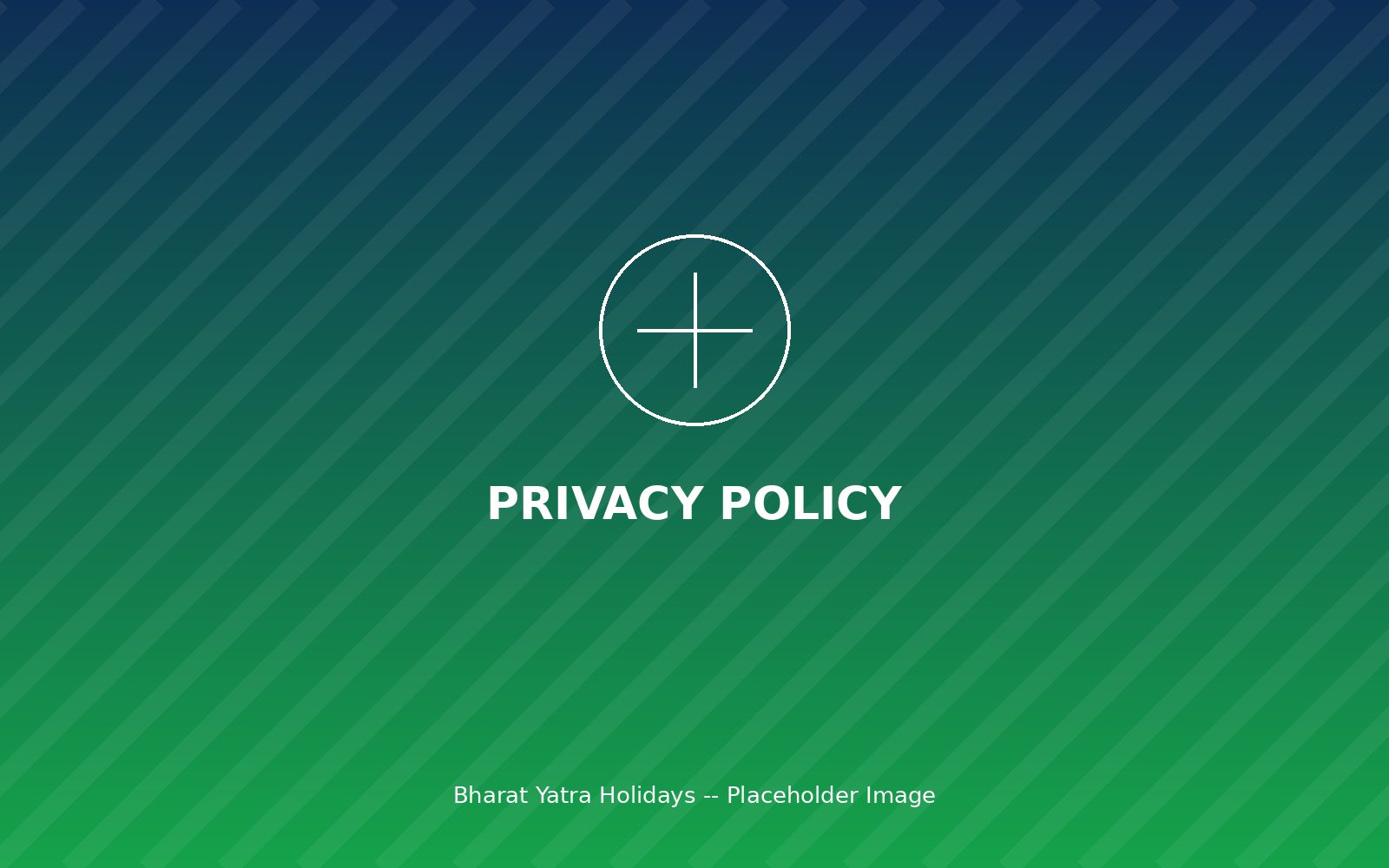 Terms & Conditions
